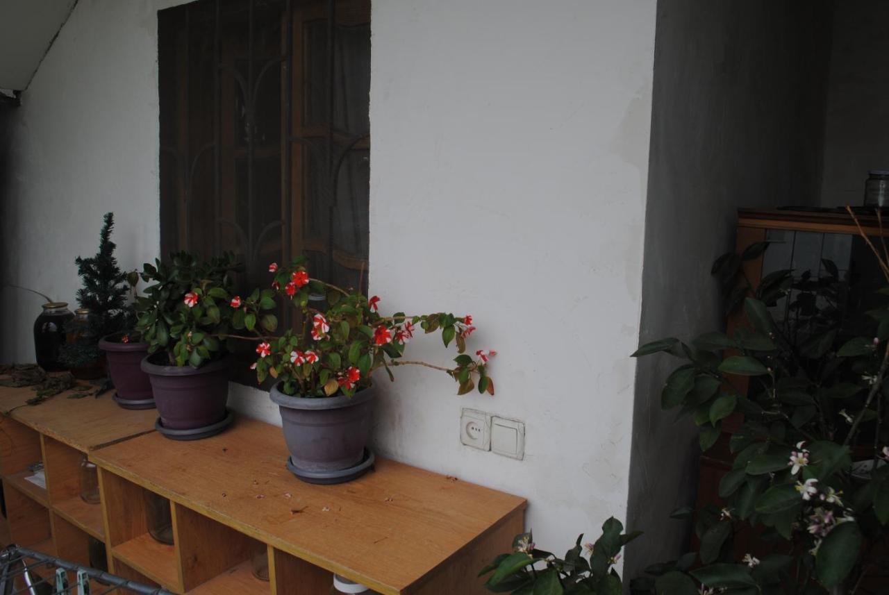 Family Guesthouse - Macharashvili Tbilisi Exteriér fotografie